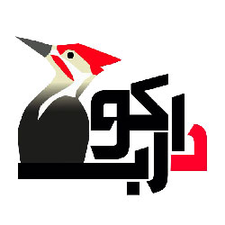 دارکوب شرکت طراحی سایت اصفهان